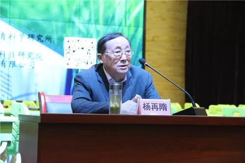 大师说说 | 杨再隋：“主题阅读”的文化观与课程观